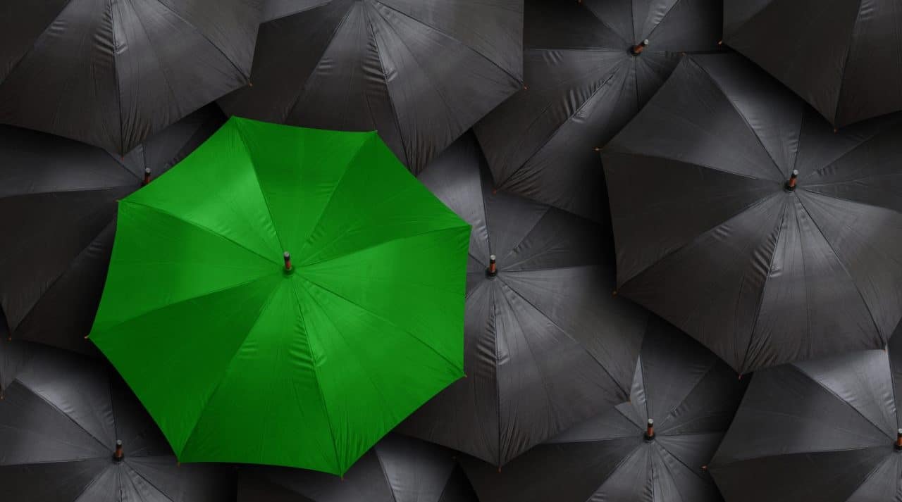 Standout green umbrella in sea of black umbrellas